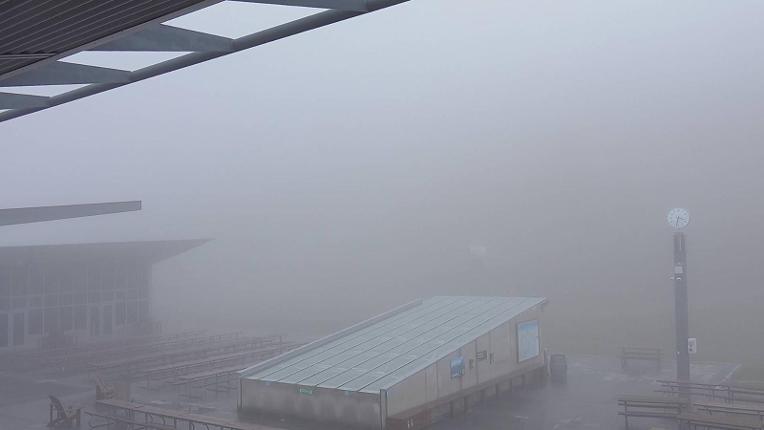 Webcam Coronet: Meadowns base