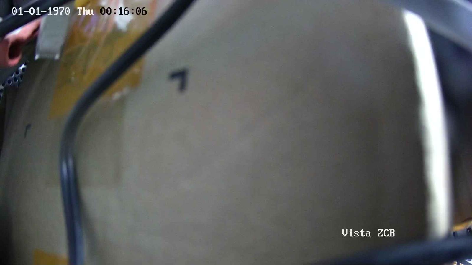Webcam Corralco: Area ZCB