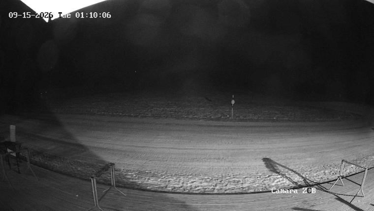 Webcam Corralco: Area ZCB