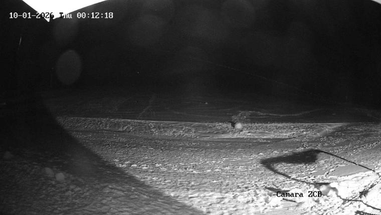 Webcam Corralco: Area ZCB