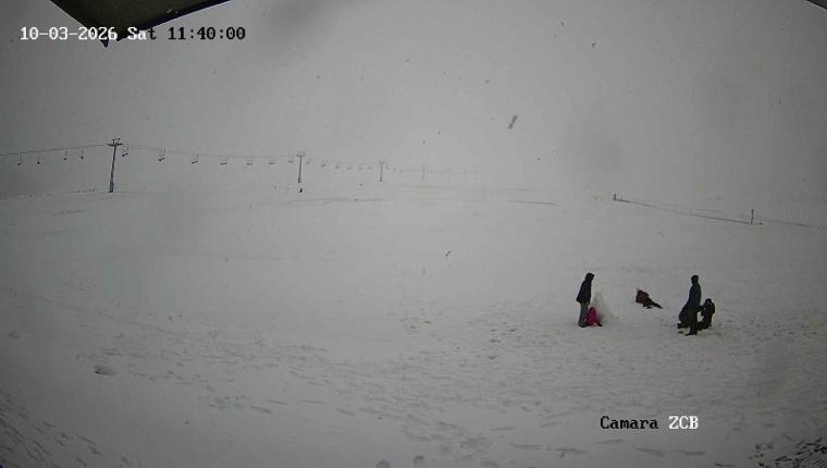 Webcam Corralco: Area ZCB