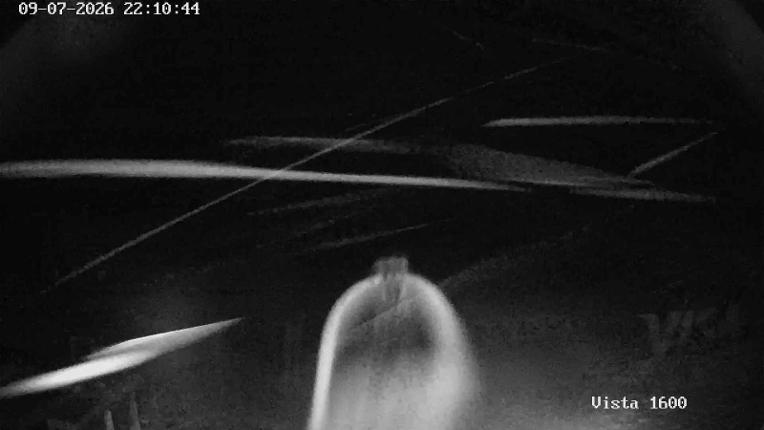 Webcam Corralco: Cumbre