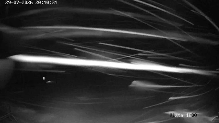 Webcam Corralco: Cumbre