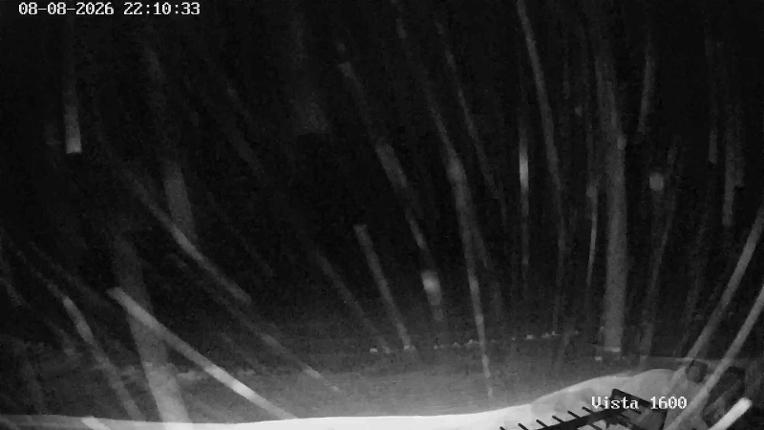 Webcam Corralco: Cumbre
