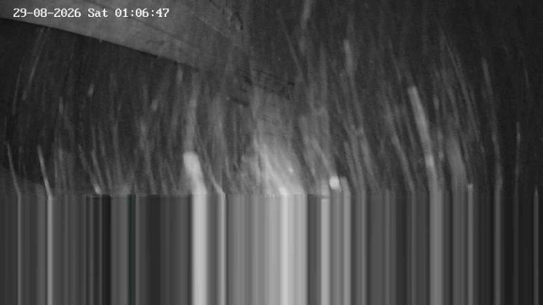 Webcam Corralco: Retorno Cornisa