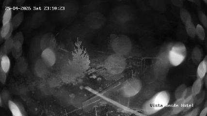 Corralco: Vista Hotel (Corralco.com)