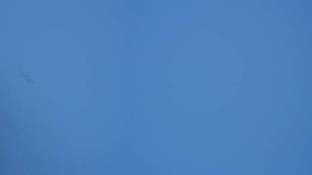 Webcam Courchevel: Chenus