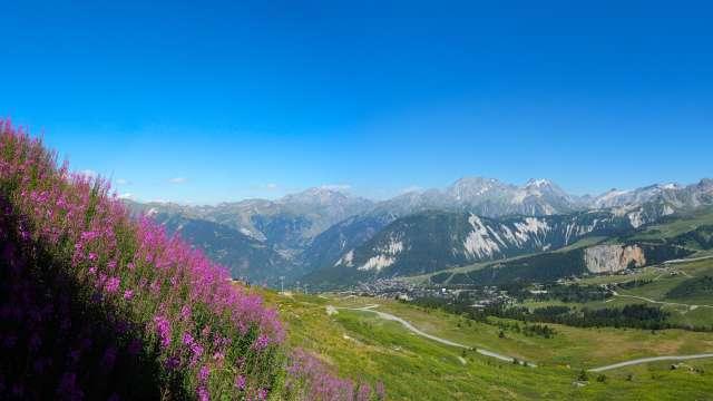 Webcam Courchevel: Chenus