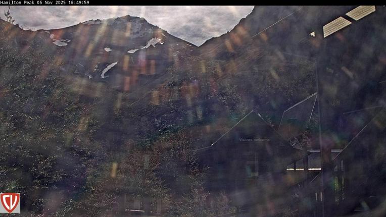 Webcam Craigieburn: Ngahere