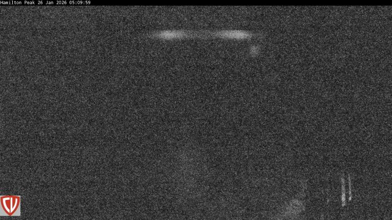 Webcam Craigieburn: Ngahere