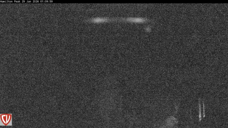 Webcam Craigieburn: Ngahere