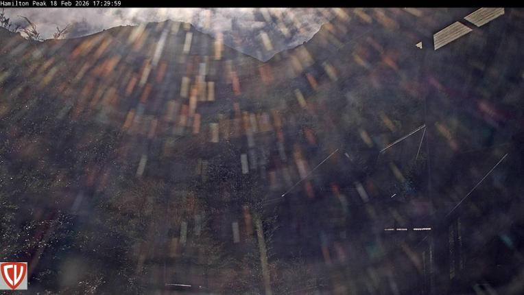 Webcam Craigieburn: Ngahere