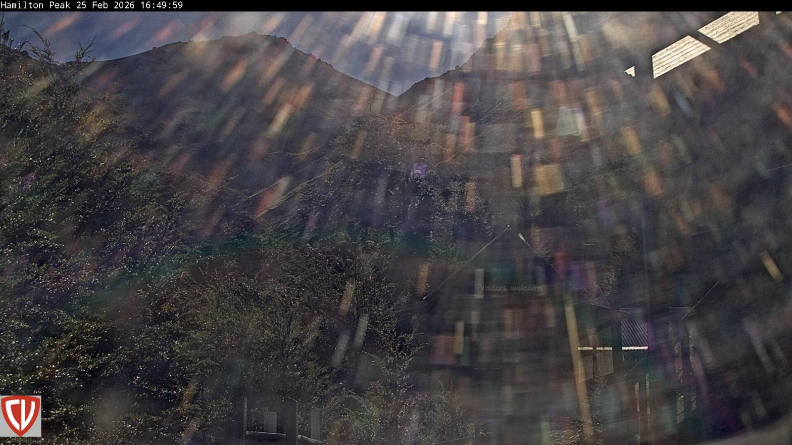 Webcam Craigieburn: Ngahere