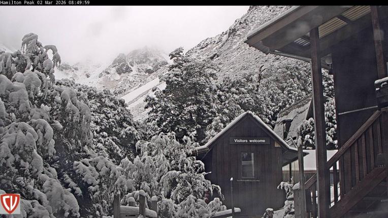 Webcam Craigieburn: Ngahere