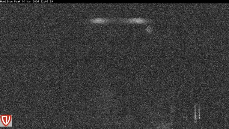 Webcam Craigieburn: Ngahere