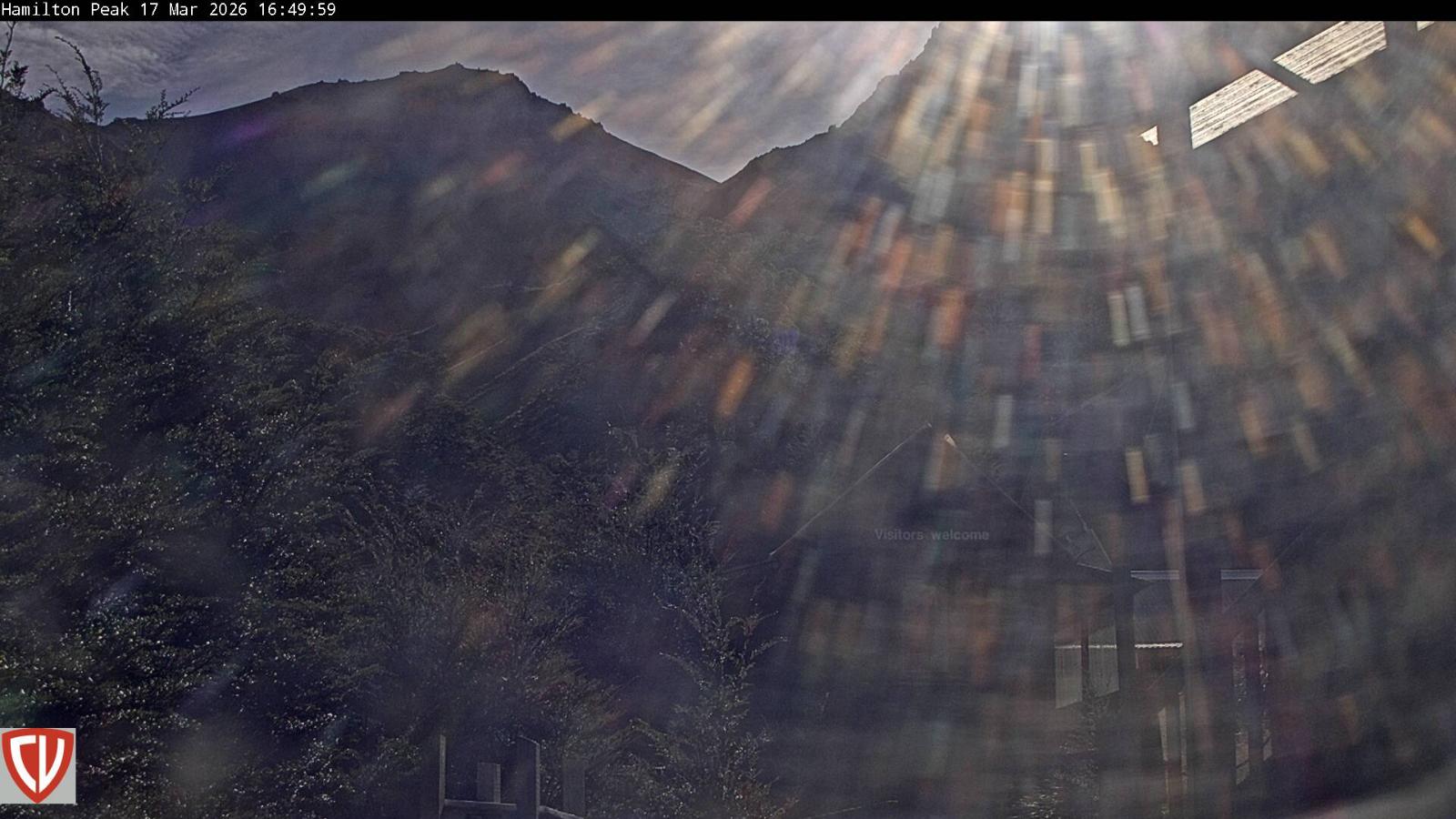 Webcam Craigieburn: Ngahere