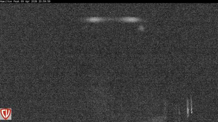 Webcam Craigieburn: Ngahere