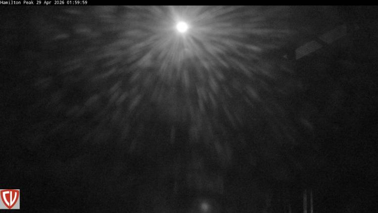 Webcam Craigieburn: Ngahere