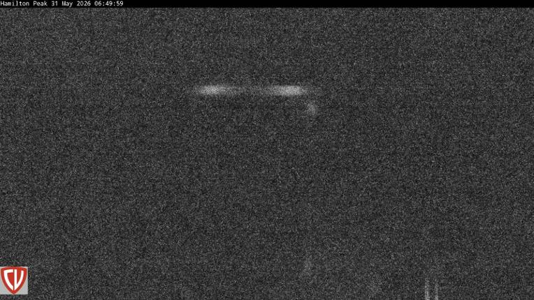 Webcam Craigieburn: Ngahere