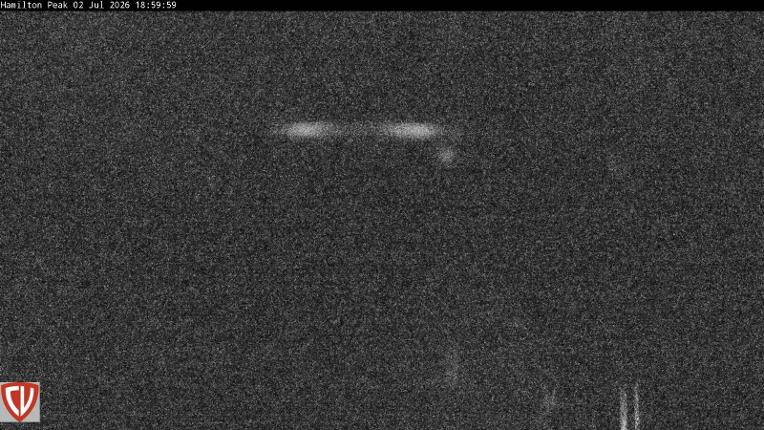 Webcam Craigieburn: Ngahere