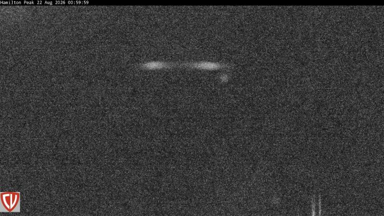 Webcam Craigieburn: Ngahere