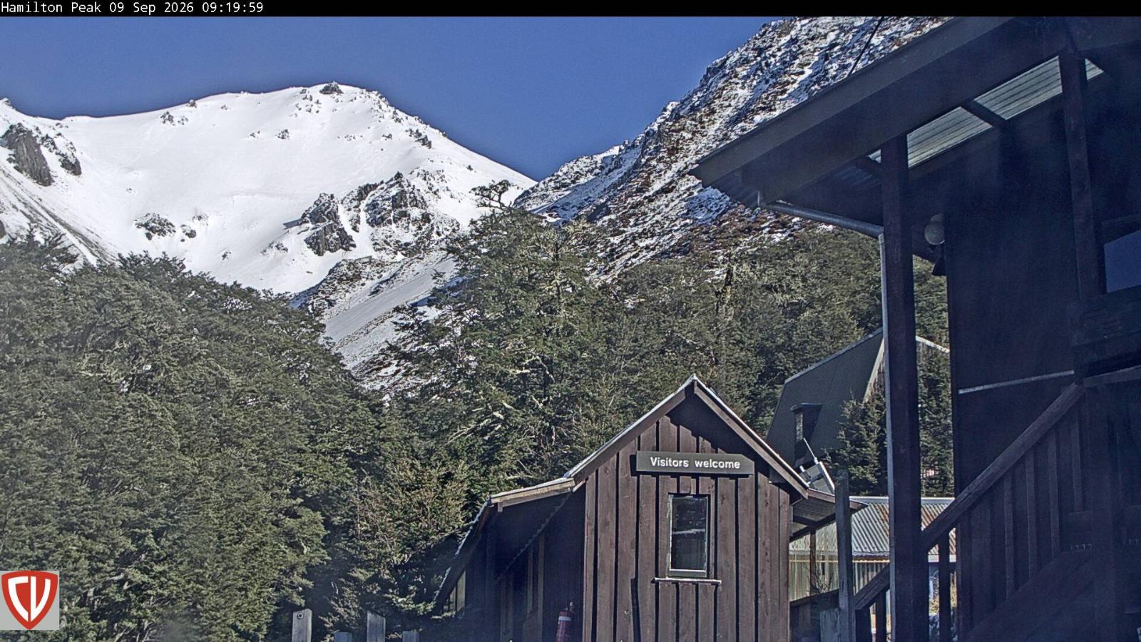 Webcam Craigieburn: Ngahere