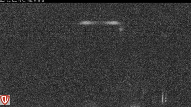Webcam Craigieburn: Ngahere