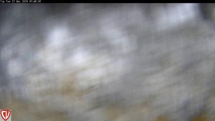 Craigieburn: Tow (craigieburn.co.nz)