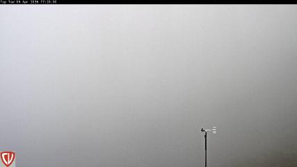 Craigieburn: Tow (craigieburn.co.nz)