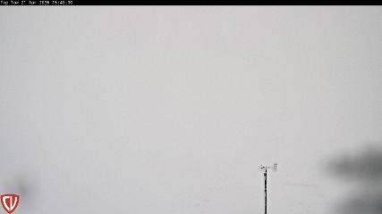 Craigieburn: Tow (craigieburn.co.nz)