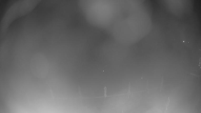 Webcam Crested Butte: Base area