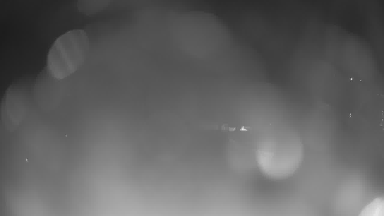 Webcam Crested Butte: Base area