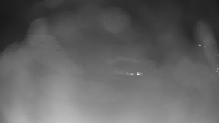 Webcam Crested Butte: Base area