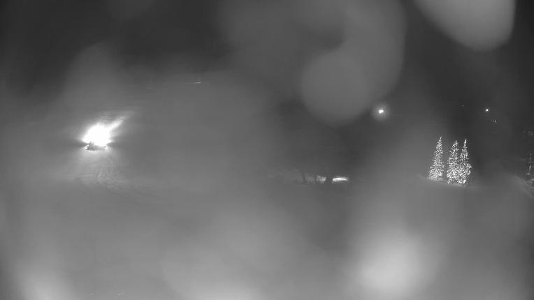 Webcam Crested Butte: Base area