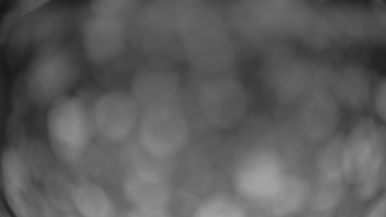 Webcam Crested Butte: Paradise warming house