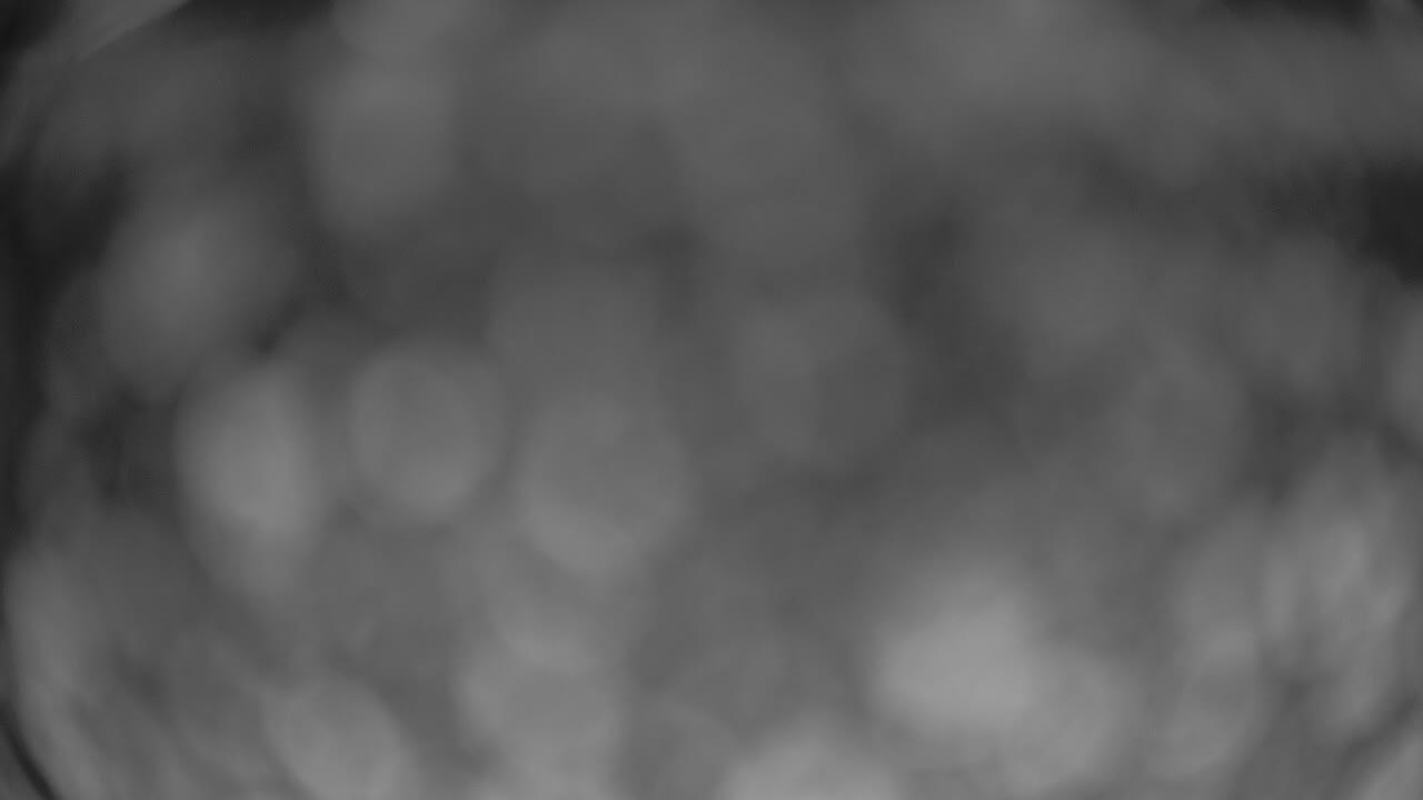 Webcam Crested Butte: Paradise warming house