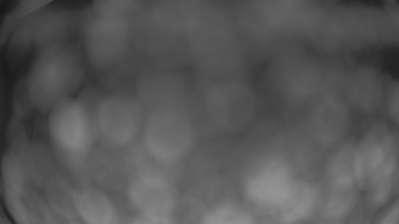 Webcam Crested Butte: Paradise warming house