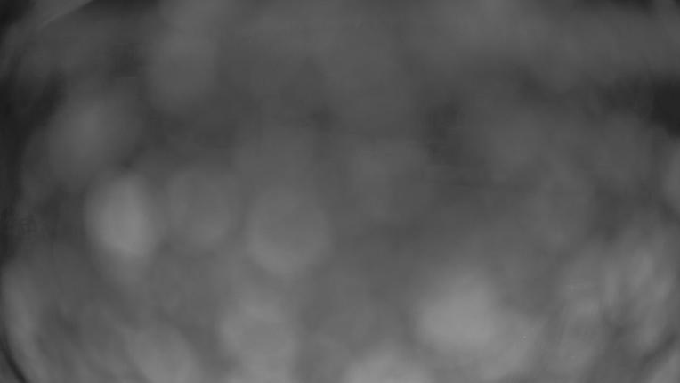 Webcam Crested Butte: Paradise warming house