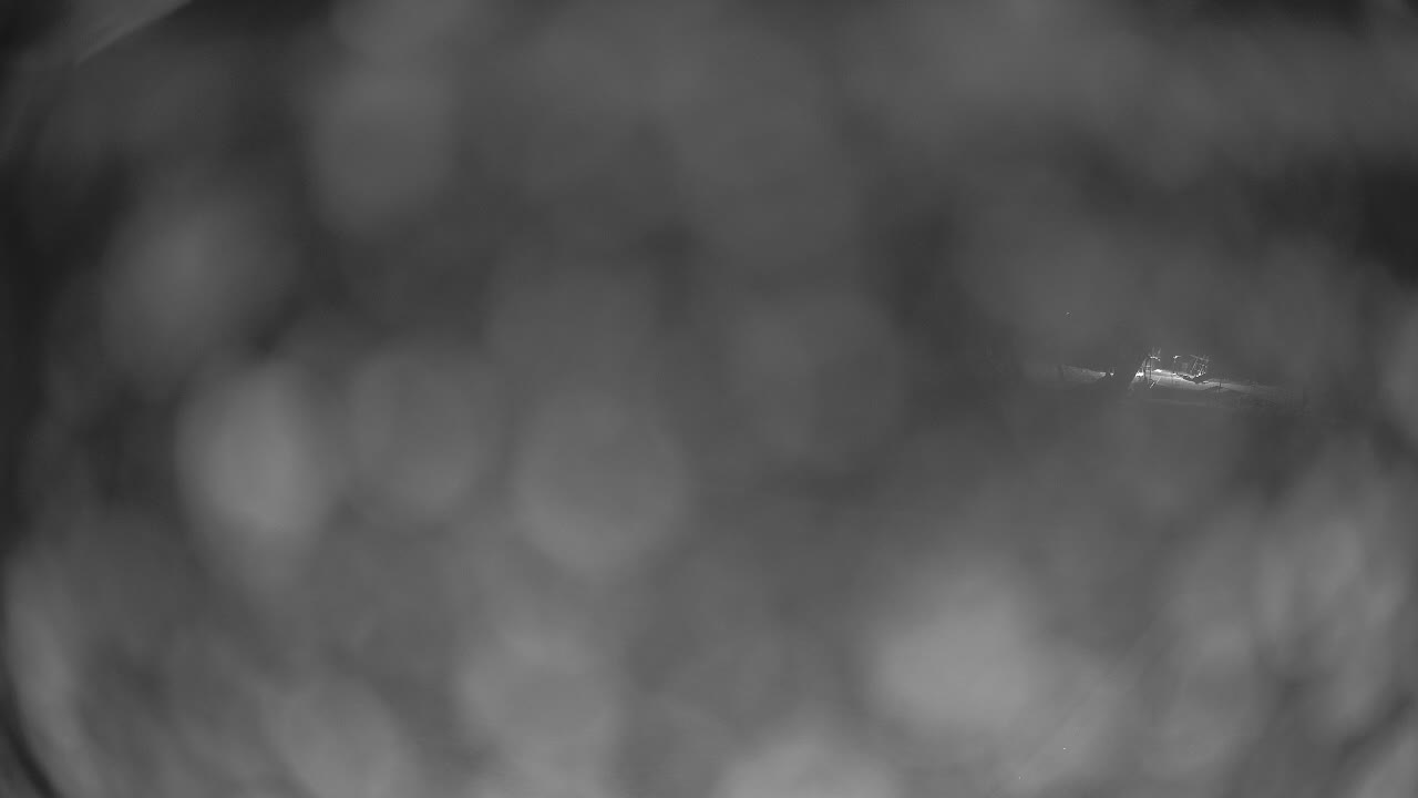 Webcam Crested Butte: Paradise warming house