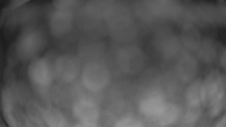 Webcam Crested Butte: Paradise warming house