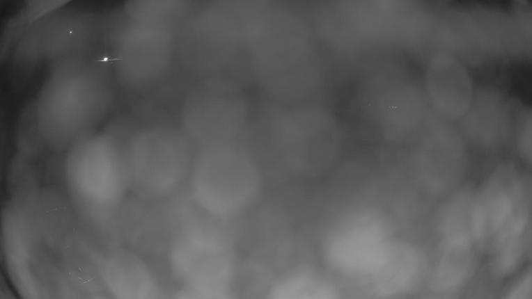 Webcam Crested Butte: Paradise warming house