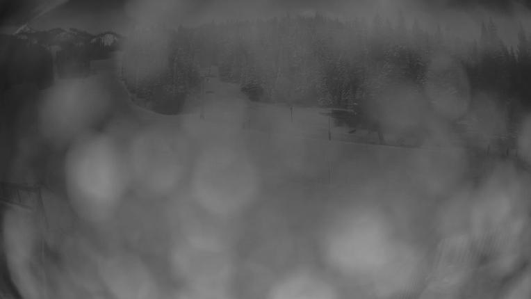 Webcam Crested Butte: Paradise warming house