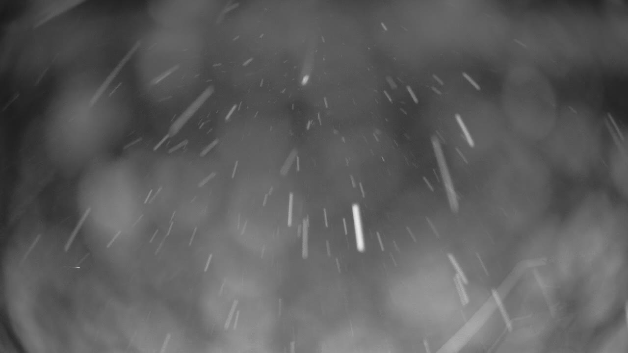 Webcam Crested Butte: Paradise warming house