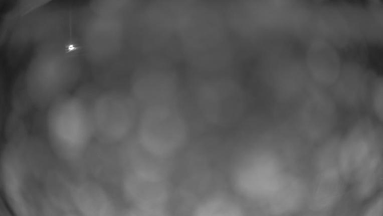 Webcam Crested Butte: Paradise warming house