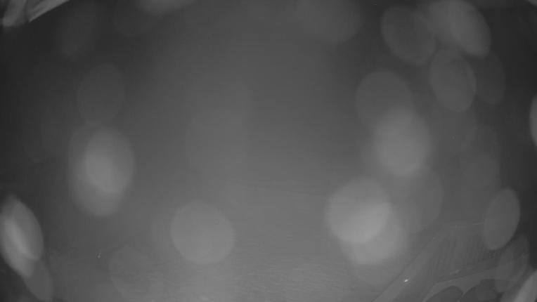 Webcam Crested Butte: Paradise warming house