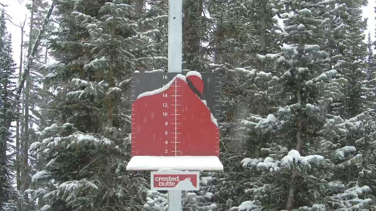 Webcam Crested Butte: PowCam