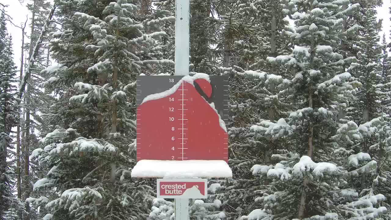 Webcam Crested Butte: PowCam