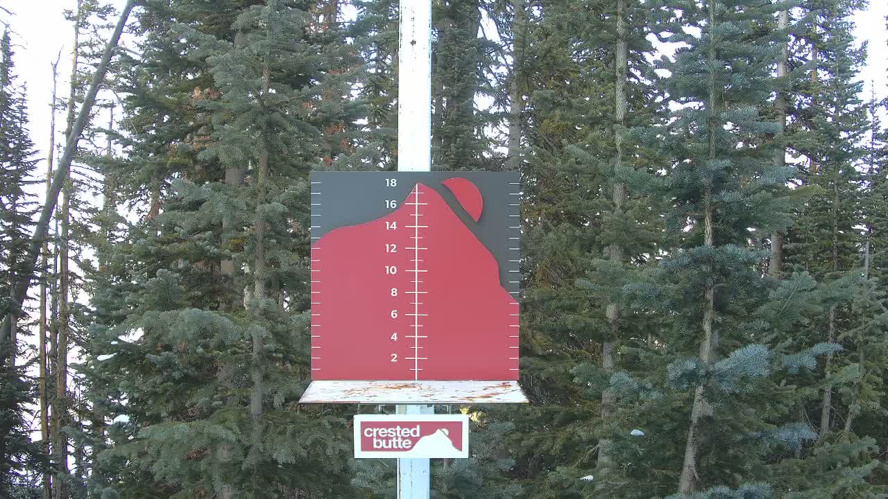 Webcam Crested Butte: PowCam