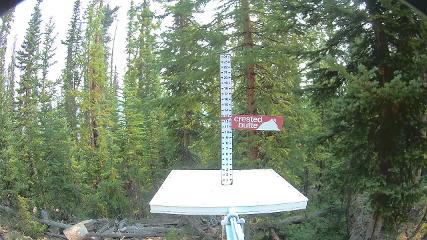 Crested Butte: Snow stake (skicb.com)