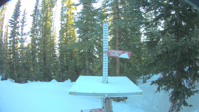 Webcam Crested Butte: Snow stake